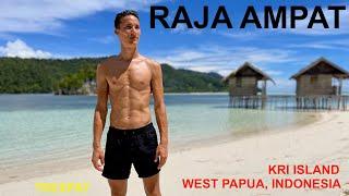 Indonesia - Raja Ampat (Kri Island)  | Travel guide