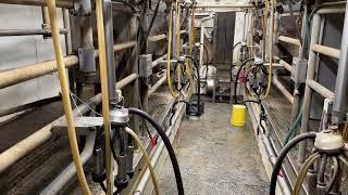 Dairy Farm Parlor Tour - Double 3 Side Opening Tandem