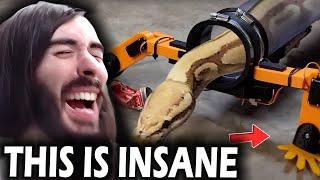 Snake With Legs | Critikal reacts