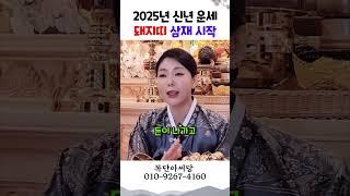 2025년 을사년 띠별 신년운세 돼지띠 용군TV 목단아씨당 #shorts #점집 #무당 #일산점집 #2025년 #신년운세 #양띠 #삼재 #운세 #띠별운세 #새해계획 #빌려준돈 #운