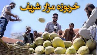 #ArianaMazar - Special report of Melon Market  / گزارش ویژه از مارکیت میوه "خربوزه"  مزارشریف