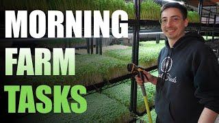 Morning Microgreens Farm Tasks (AM Chores) With Donny Greens