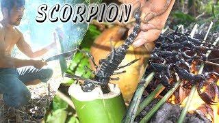 Wilderness Technology 16  | The delicious scorpions of the rainforest