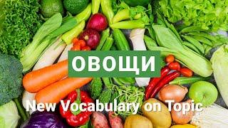 Basic Russian 2: Vocabulary on Topic “Vegetables”