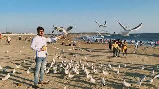 Somnath Beach enjoy