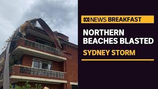 One dead, two people critical after severe storm hits Sydney's northern beaches | ABC News