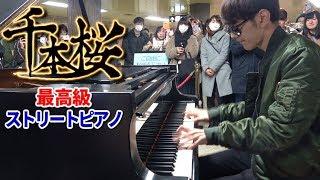 【最高級のストリートピアノ】「千本桜」を弾いてみた byよみぃ　Japanese street piano performance."Senbon Zakura"