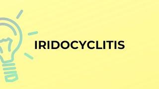 What is the meaning of the word IRIDOCYCLITIS?