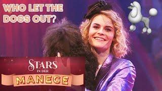 Who let the Dogs out?  Pfotastische Hundedressur mit Hazel Brugger | Stars in der Manege | SAT.1