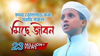 হৃদয় তোলপাড় করা মরমি গজল । Miche Jibon । মিছে জীবন । Hujaifa Islam Kalarab