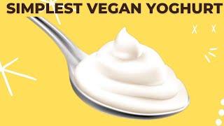 VEGAN YOGHURT FOR BEGINNERS [ONE INGREDIENT]