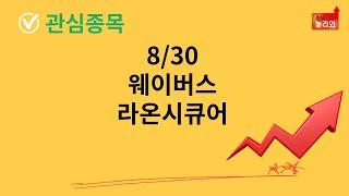 웨이버스,라온시큐어