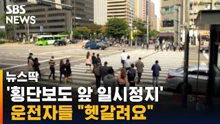 횡단보도 앞 일시정지 의무 확대…운전자들 "헷갈려요" / SBS / 뉴스딱