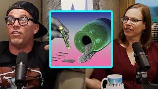 Steve-O Snorted His Mom's Ashes?! | Wild Ride! Clips