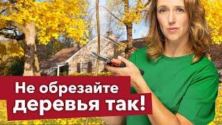 5 ЧАСТЫХ ОШИБОК ПРИ ОБРЕЗКЕ, которые погубят ваши деревья! Проверьте, не делаете ли вы их?