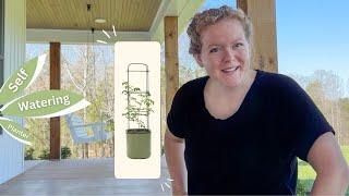 Self-Watering Planter with Trellis! & Seed Planting on the Front Porch 