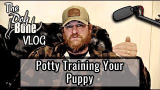 Potty Training Your Puppy | The DogBone VLOG: Ep: #97