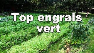 Engrais vert : 100% réussite de votre engrais vert pour jardin potager génial pour les plantes