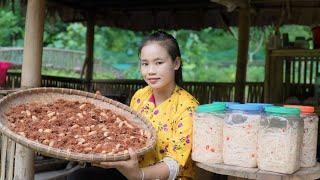 Harvesting coconut borers and pickled bamboo shoots to bring to market for sale l Lý Thị Sai