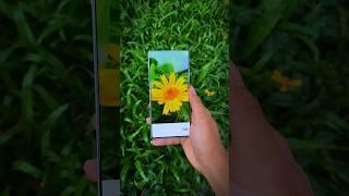 Nubia Z70s Ultra Camera Telephoto Macro Photography Amazing Click #nubiaz70sultra #photography