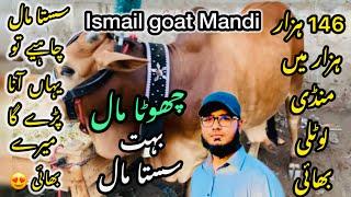 Ismail goat Mandi Karachi Cattle Rates Update ️ || 22 may 2025  || Cow Mandi 2025