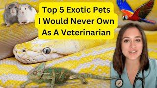 Top 5 Exotic Pets I Would NOT Get as an Exotic Animal Veterinarian