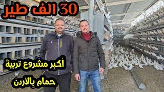 The largest pigeon breeding project in Jordan, with more than 30,000 birds in the farm.