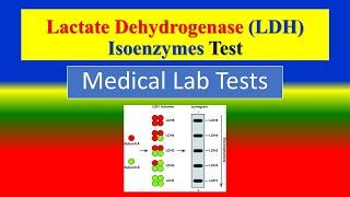 Lactate Dehydrogenase (LDH) Isoenzymes Test  -  what is?  , Uses , Need , Risk , Preparation,