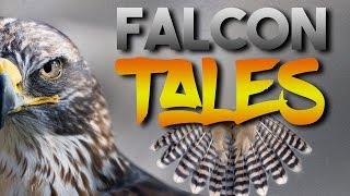 Falcon Tales