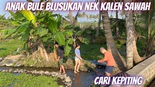 BLUSUKAN KE KALEN DAN SAWAH CARI KEPITING