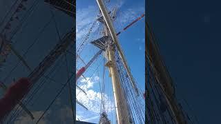 Dar Młodzieży - The Tall Ships Races 6/7/2024 Helsinki (Laituri EKL)