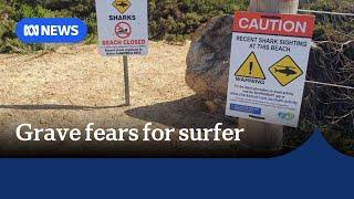 Surfer missing off WA's south-east coast after shark attack | ABC News