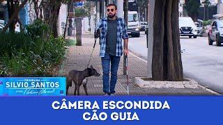 Cão Guia | Câmeras Escondidas - com Ítalo Sena (30/06/24)