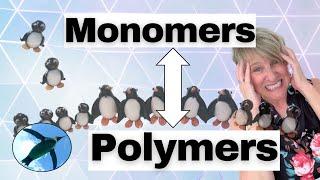 Chemistry Basics:  Monomers & Polymers 