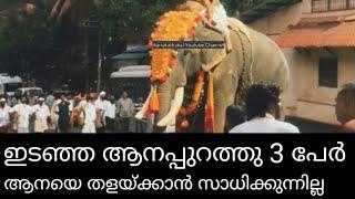 ഒന്ന് മിണ്ടാതിരിയെടാ.. ആന ഇങ്ങോട്ട് വരും | Elephant attack kerala 2025