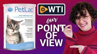 PetAg Petlac Milk Powder for Kittens | Our Point Of View