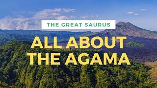 ALL ABOUT THE AGAMA LIZARD (PBS EDUCATIONAL VIDEO)