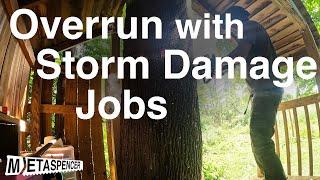 Overrun with Storm Damage Jobs
