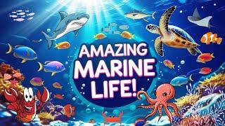 Amazing Marine Animals  | Relaxing Music For Kids | Stunning Underwater Creatures @Learnwithtoons1