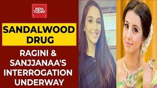 Sandalwood Drug Case: Crime Branch Interrogates Sanjjanaa Galrani & Ragini Dwivedi | Breaking News