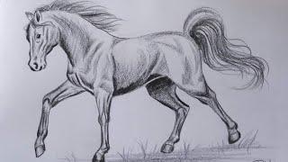 How to draw a Horse step by step | Pencil Shading Drawing