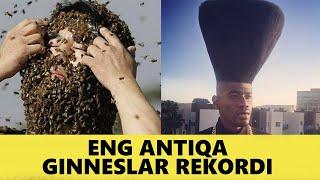 Eng Antiqa Ginneslar Rekordi