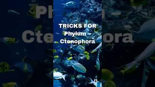 Remember Phylum Ctenophora with These Simple Tricks!  | Science Shorts