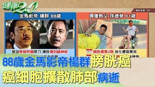 88歲金馬影帝楊群膀胱癌 癌細胞擴散肺部病逝 健康2.0