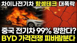 중국 전기차 99%가 망하게 생겼다. BYD 가격전쟁 시장 갈아 엎친다. 차이나전기차 차이나테크탑10 항셍테크 대폭락, 엔비디아 테슬라 샤오미 꽌시유 (존버나드 지식자랑)