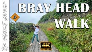 Wicklow's Wonders - Exploring Bray Head with The Ambient Warrior (Part 2)