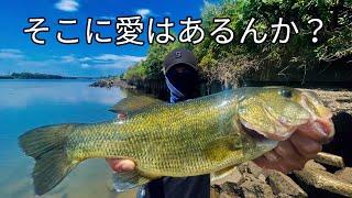 【荒川バス釣り】荒川を愛しすぎたあまり他フィールドでは釣れなくなったお知らせ