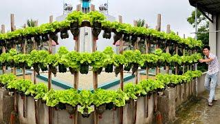 Don't Throw Away Plastic Bottles! Grow a Mountain of Vegetables with This Simple Trick!