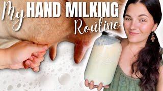 How To Milk A Cow By Hand  | Easy For Beginners