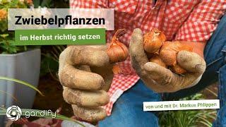 So pflanzt du Zwiebelpflanzen richtig: 3 wertvolle Tipps für eine prächtige Blüte!